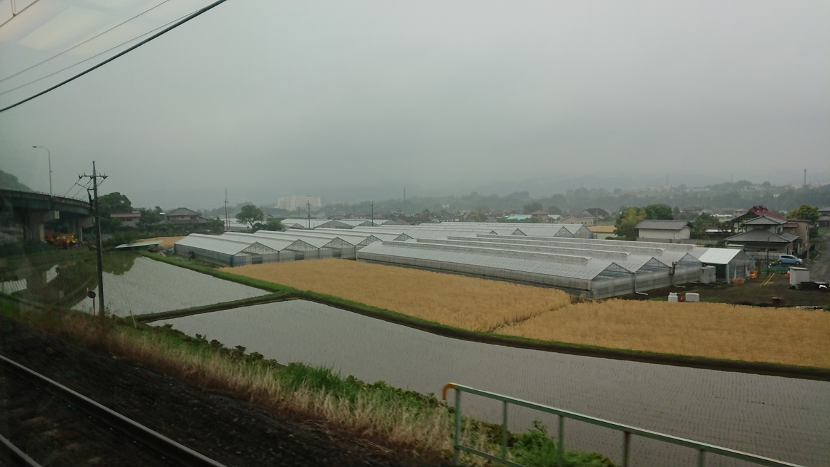 f:id:yusiki:20190813115046j:plain