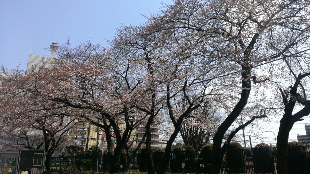 f:id:yusuke-manabe:20170404190036j:plain f:id:yusuke-manabe:20170404190036j:plain