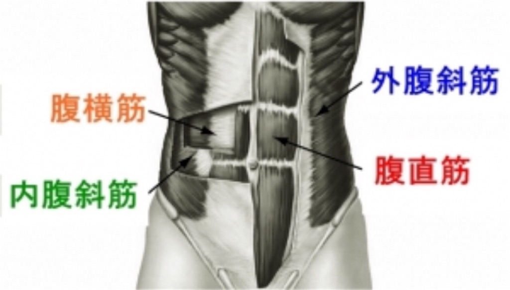 f:id:yusuke0530kun:20190308173636j:image