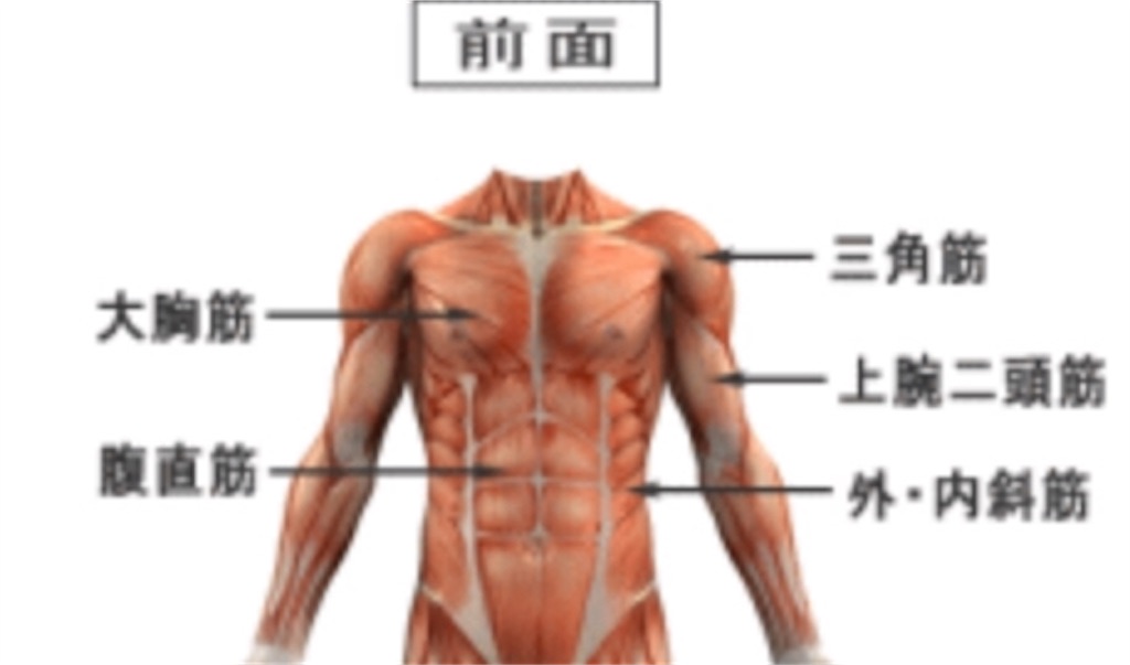 f:id:yusuke0530kun:20190308173823j:image