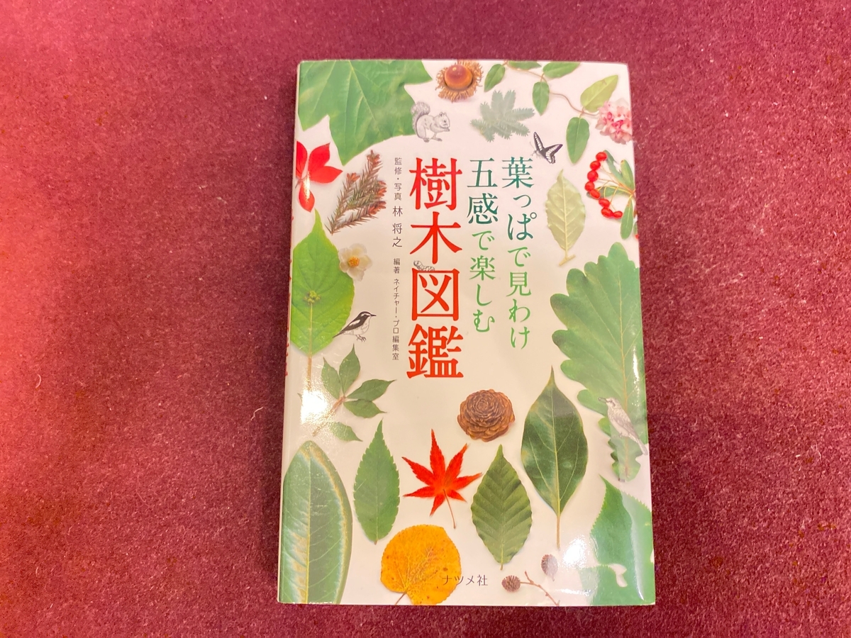 葉っぱで見分け五感で楽しむ樹木図鑑の写真