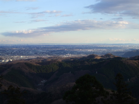 20090102154439