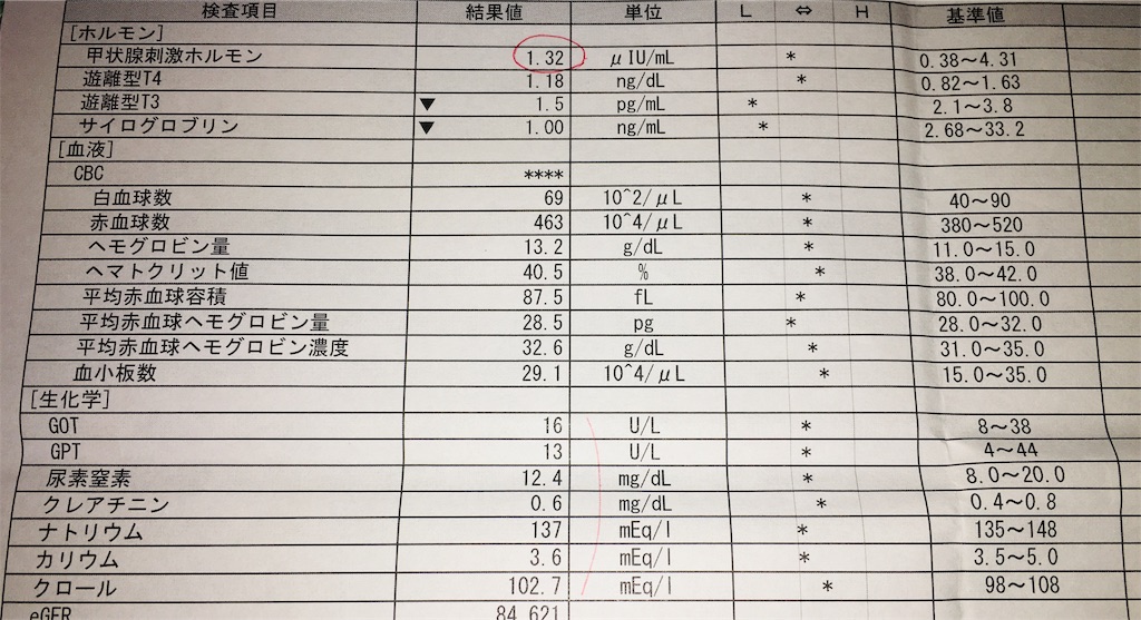 f:id:yusurasura:20190821190930j:image