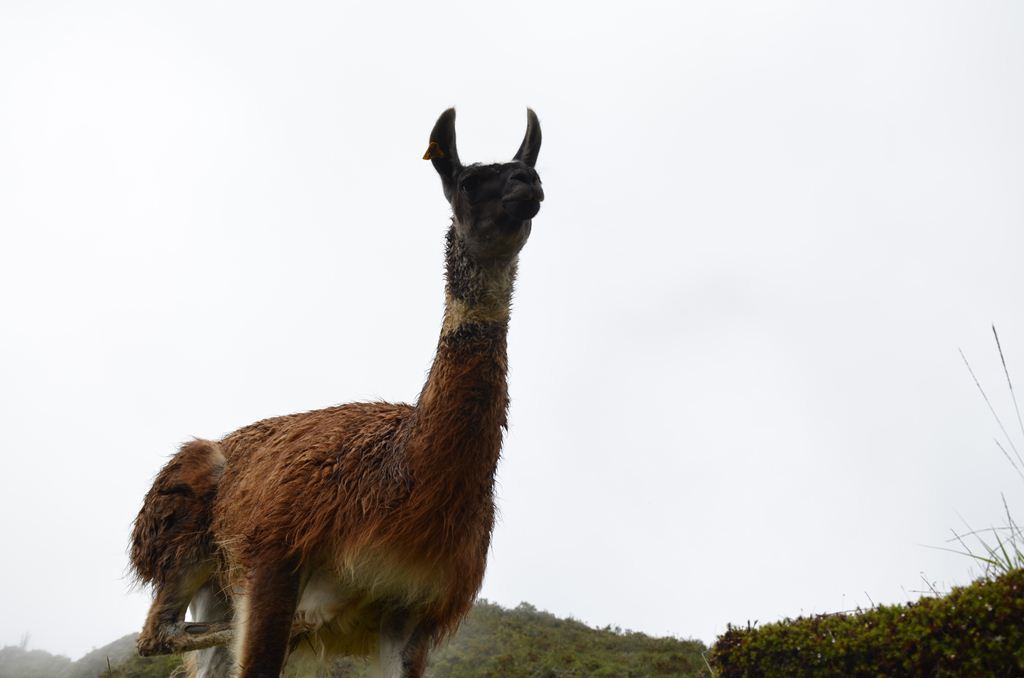 f:id:yuta-celestial:20131013081550j:image:w240