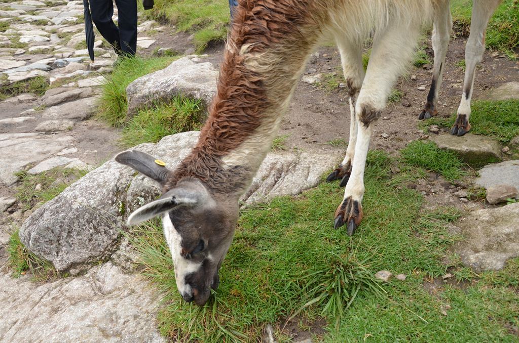 f:id:yuta-celestial:20131013081551j:image:w240