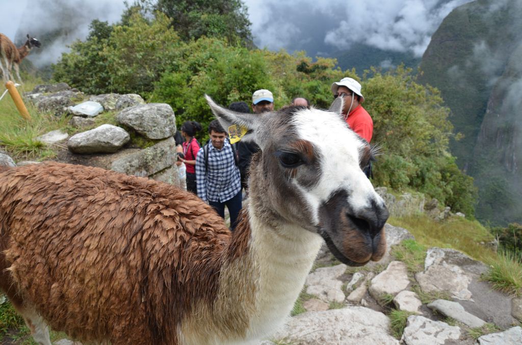 f:id:yuta-celestial:20131013081552j:image:w240