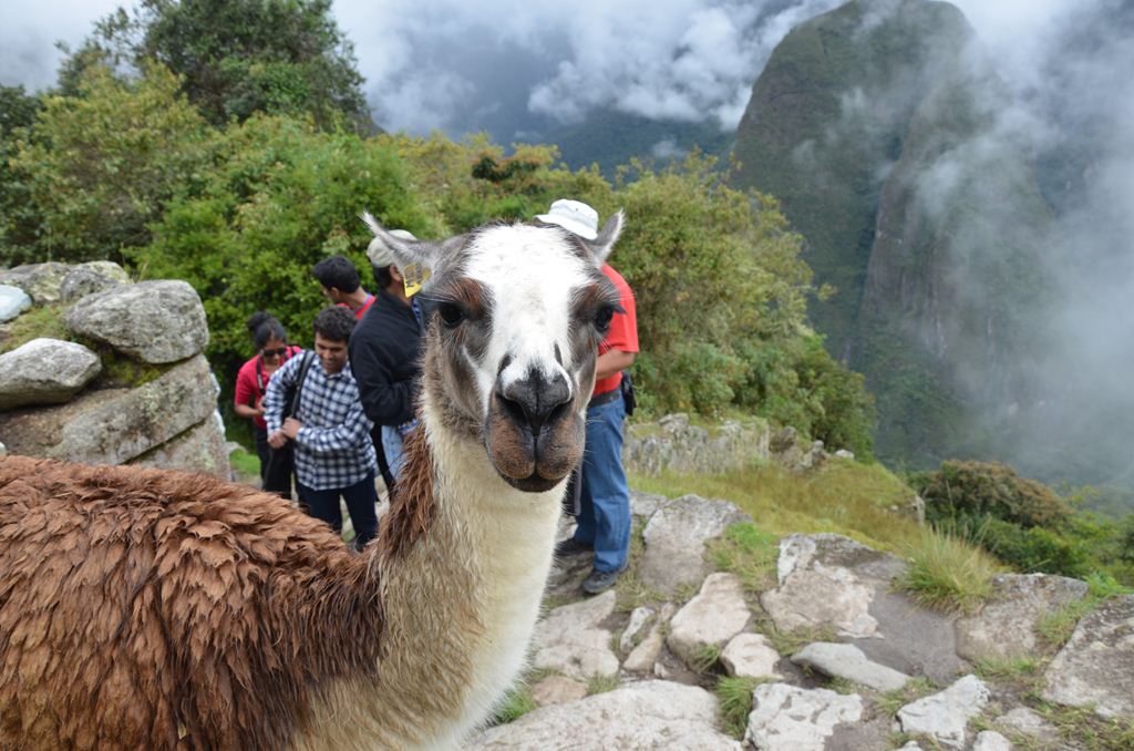 f:id:yuta-celestial:20131013081553j:image:w240