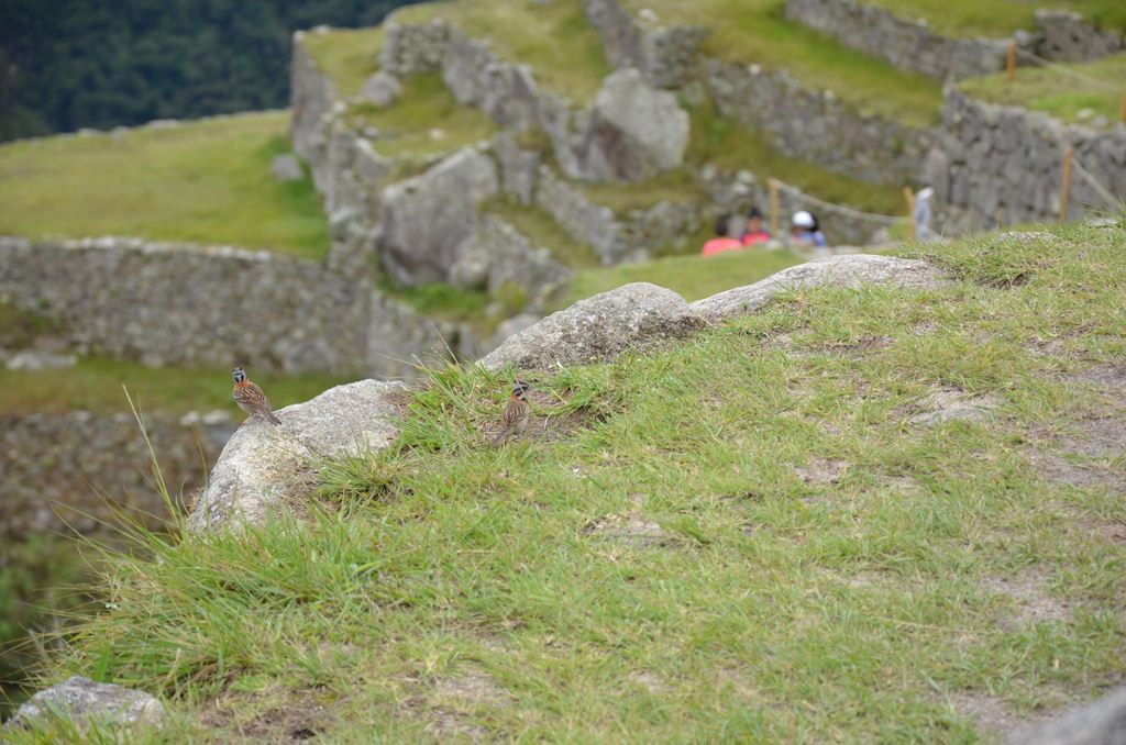 f:id:yuta-celestial:20131013081634j:image:w360