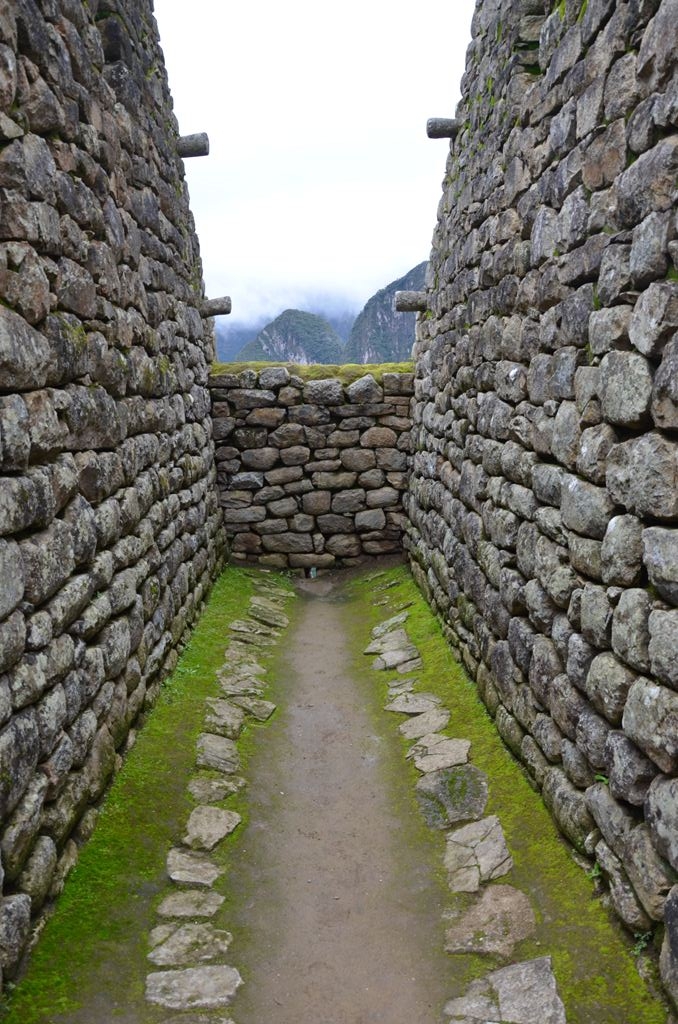 f:id:yuta-celestial:20131013081725j:image:w240