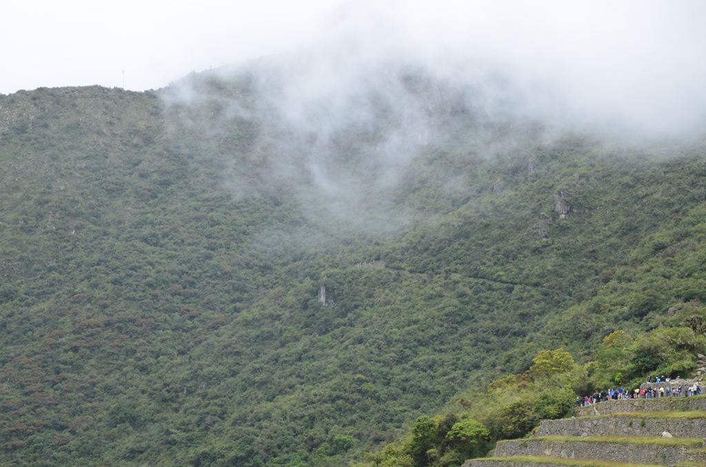 f:id:yuta-celestial:20131013081800j:image:w360