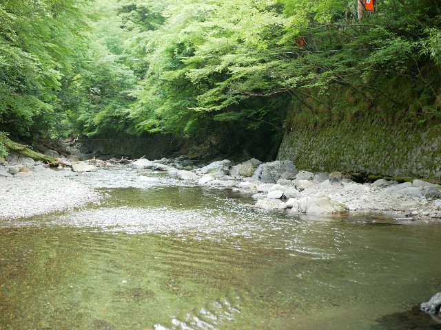 f:id:yuta208817:20190618164248j:image