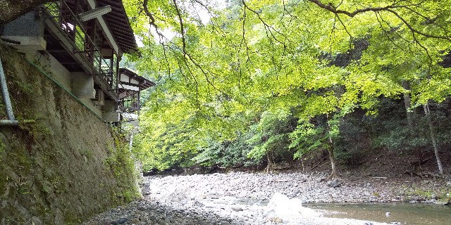 f:id:yuta208817:20190618164302j:image