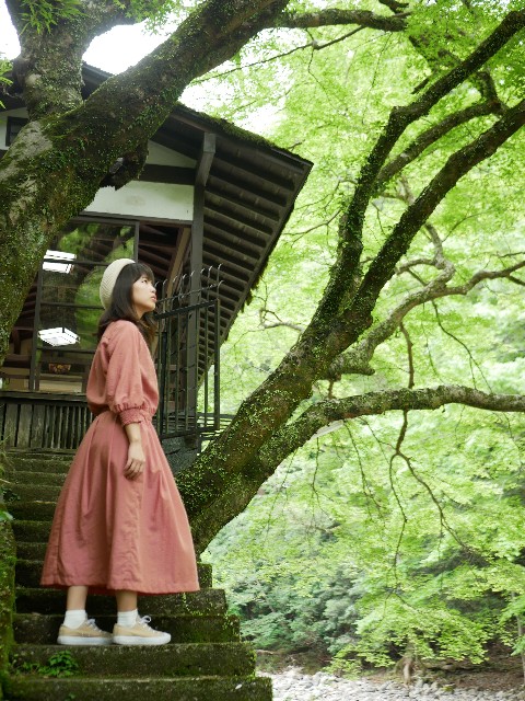 f:id:yuta208817:20190618164422j:image