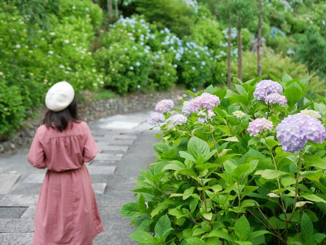 f:id:yuta208817:20190620150937j:image