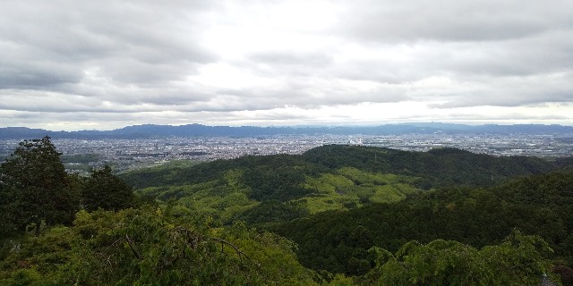 f:id:yuta208817:20190620151040j:image