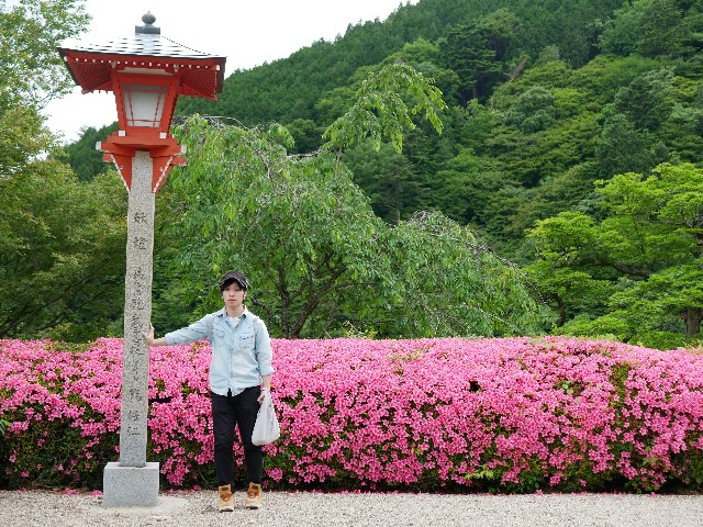 f:id:yuta208817:20190620151055j:image