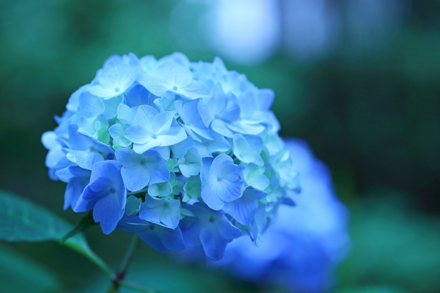 f:id:yuta208817:20190621105419j:plain