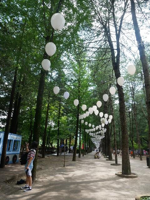 f:id:yuta208817:20190825161202j:image