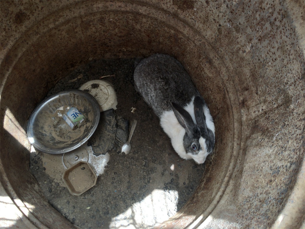 f:id:yuta7watanabe:20190609065555j:image f:id:yuta7watanabe:20190609065555j:image