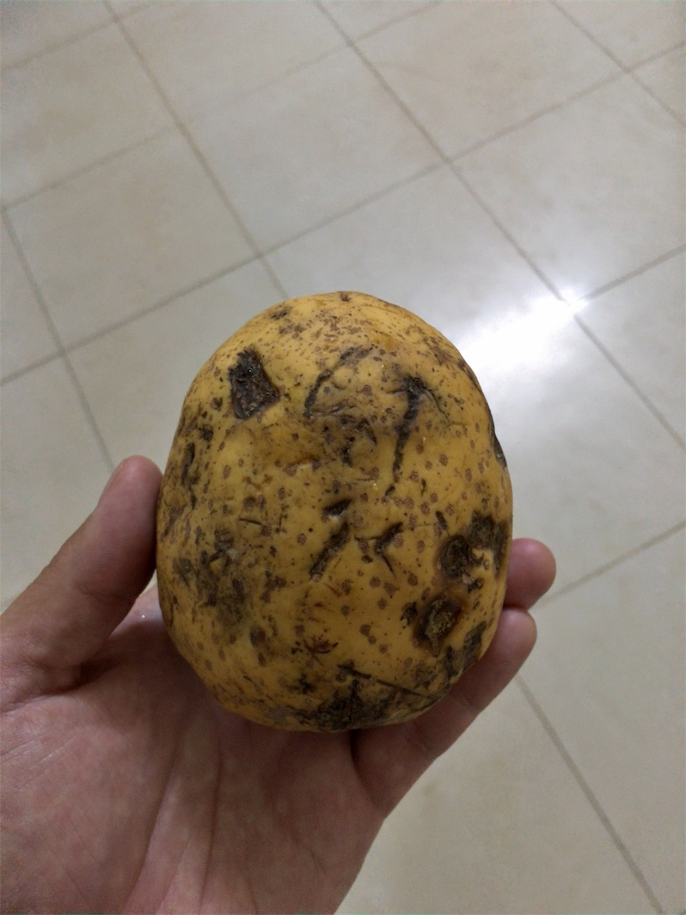 f:id:yuta7watanabe:20190612204450j:image f:id:yuta7watanabe:20190612204450j:image