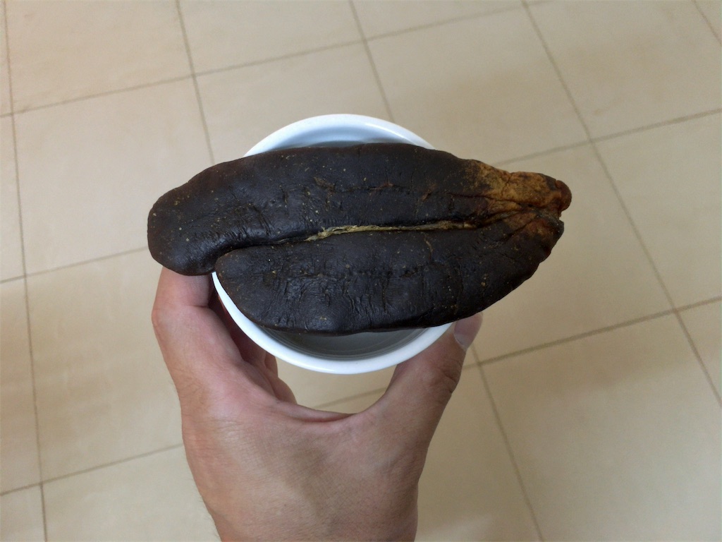 f:id:yuta7watanabe:20190618055829j:image f:id:yuta7watanabe:20190618055829j:image