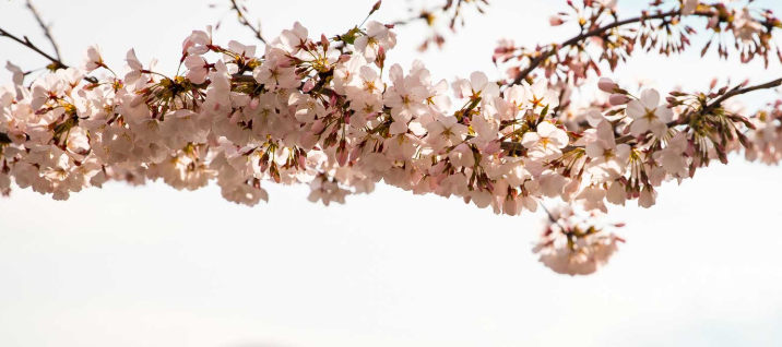 f:id:yutakaitoslogan:20190328210730p:plain f:id:yutakaitoslogan:20190328210730p:plain