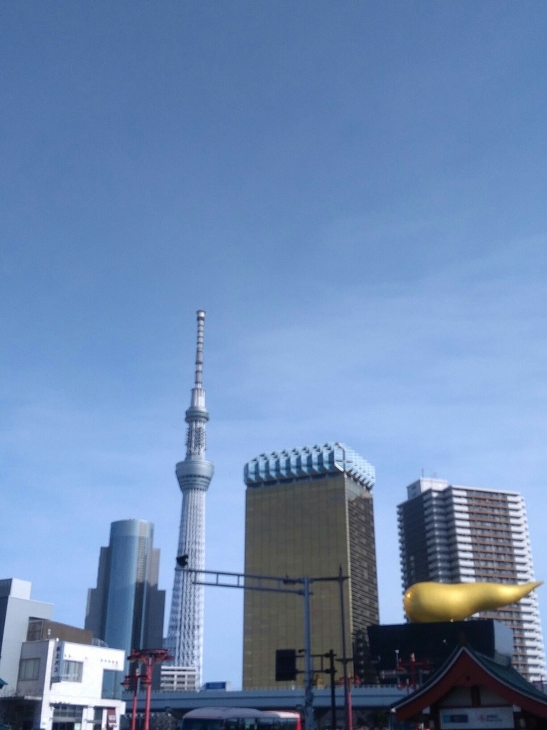 f:id:yutakakingyo:20190210191318j:plain f:id:yutakakingyo:20190210191318j:plain