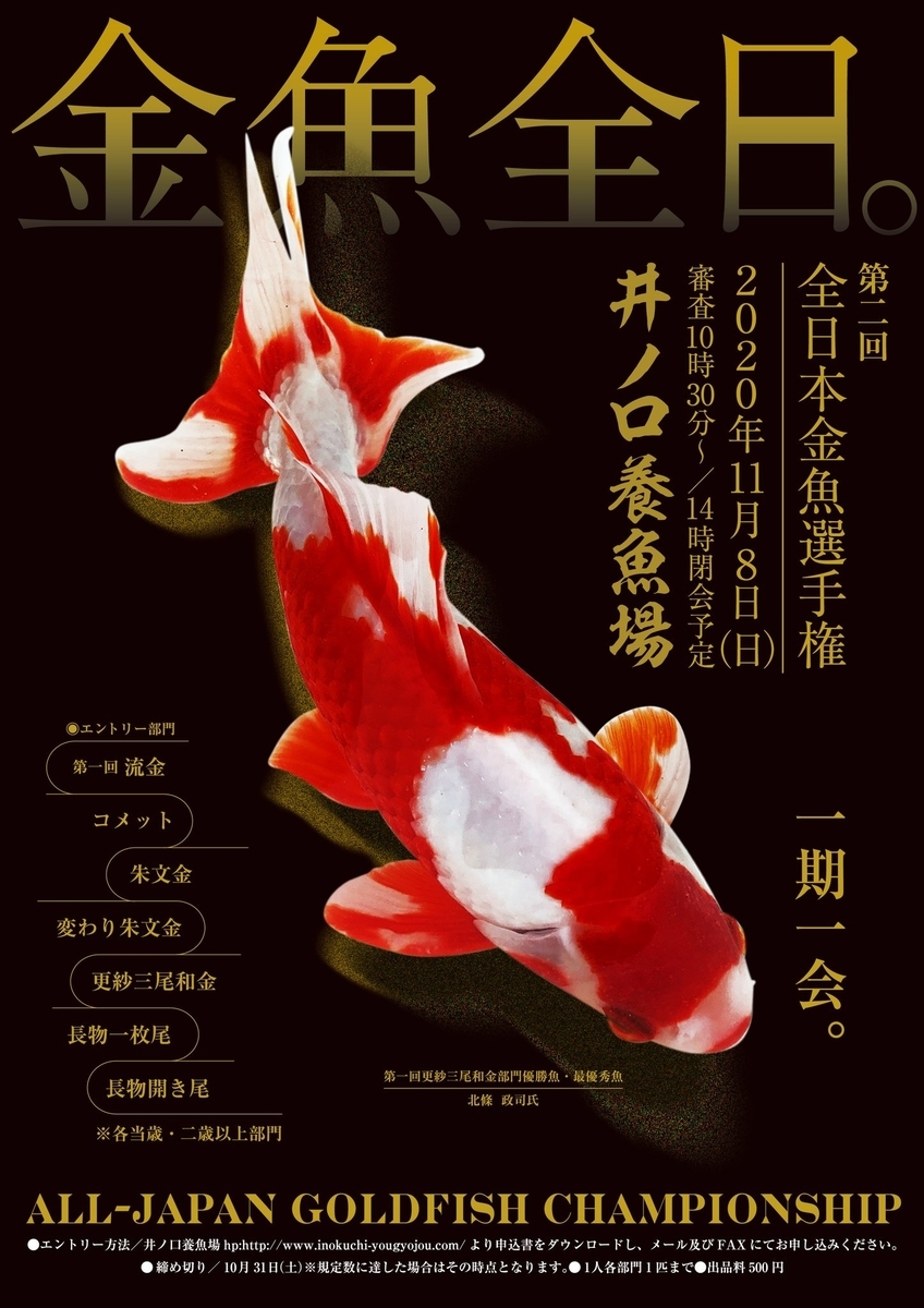 f:id:yutakakingyo:20200911232739j:plain