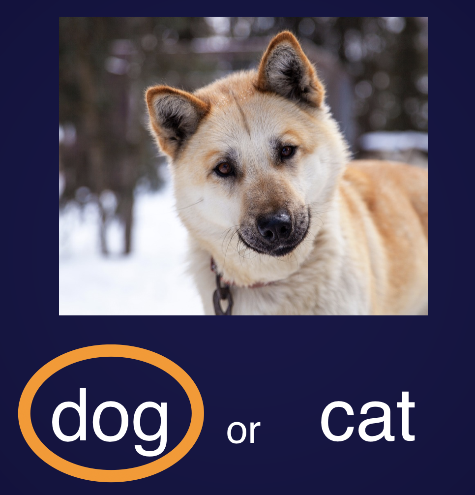 f:id:yutakikuchi:20190704220514p:plain:h300