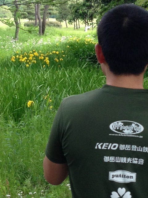 f:id:yutamat:20130513172425j:image:w360:left