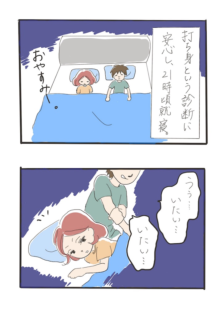 妊娠中に旦那が自転車で転んで怪我した話 - やきとり