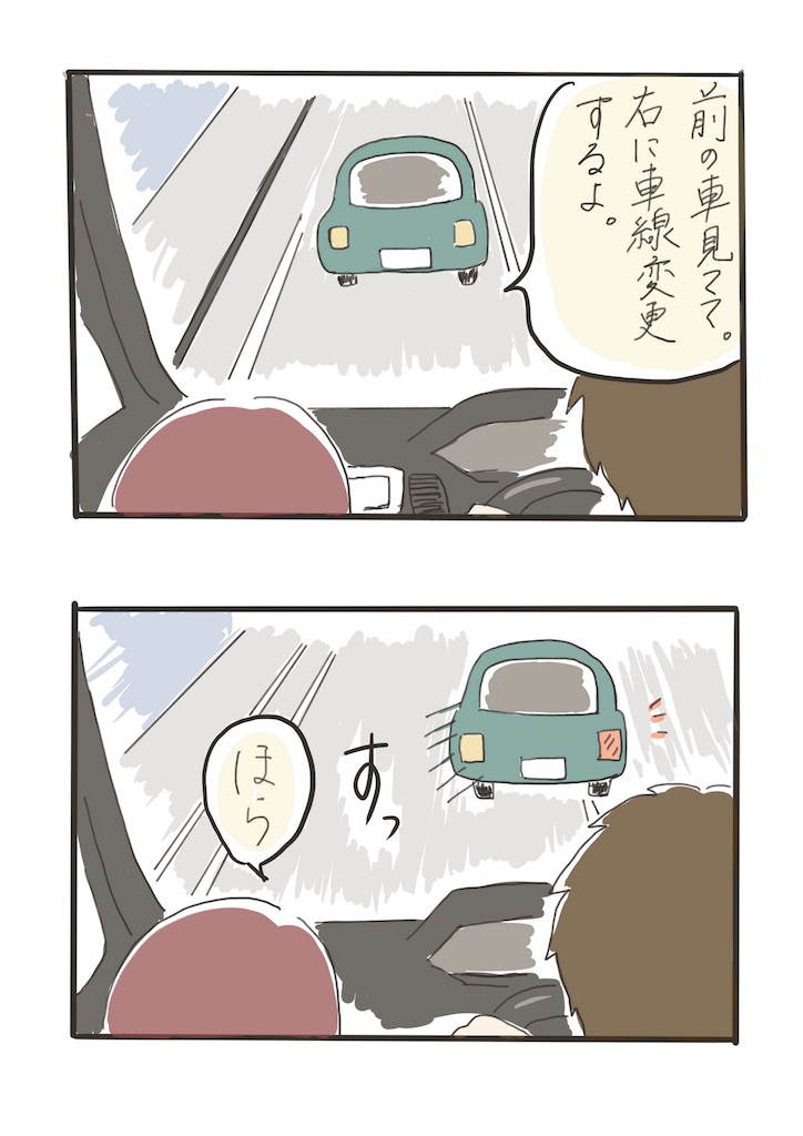 ペーパードライバーの旦那に運転中気をつけることを教えていた時の話 やきとり