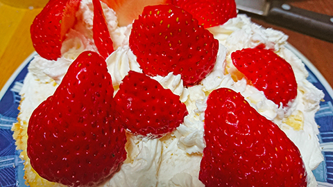 f:id:yutan1ban:20191225112703j:plain f:id:yutan1ban:20191225112703j:plain