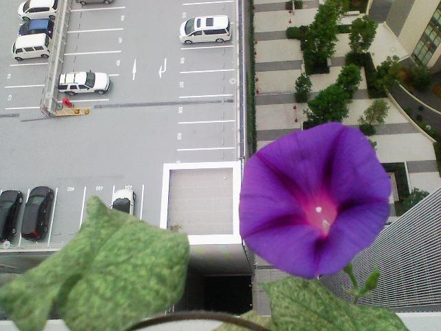 f:id:yutanpon:20090721074649j:image:w320
