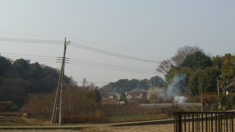 田舎の風景