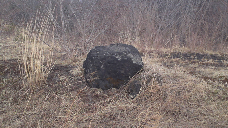 f:id:yutanty:20110430104151j:image