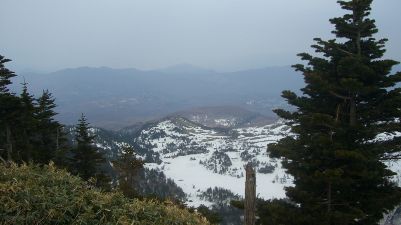 f:id:yutanty:20110430130952j:image