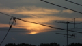 [黄昏][風景][夕日][そら]雲に沈む太陽