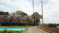 [風景]神社がある小山