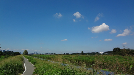 近くの遊歩道を散歩中♪