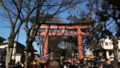 [風景][季節]大宮氷川神社 二の鳥居