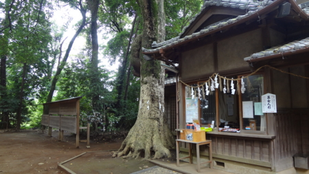 f:id:yutanty:20140720122024j:image