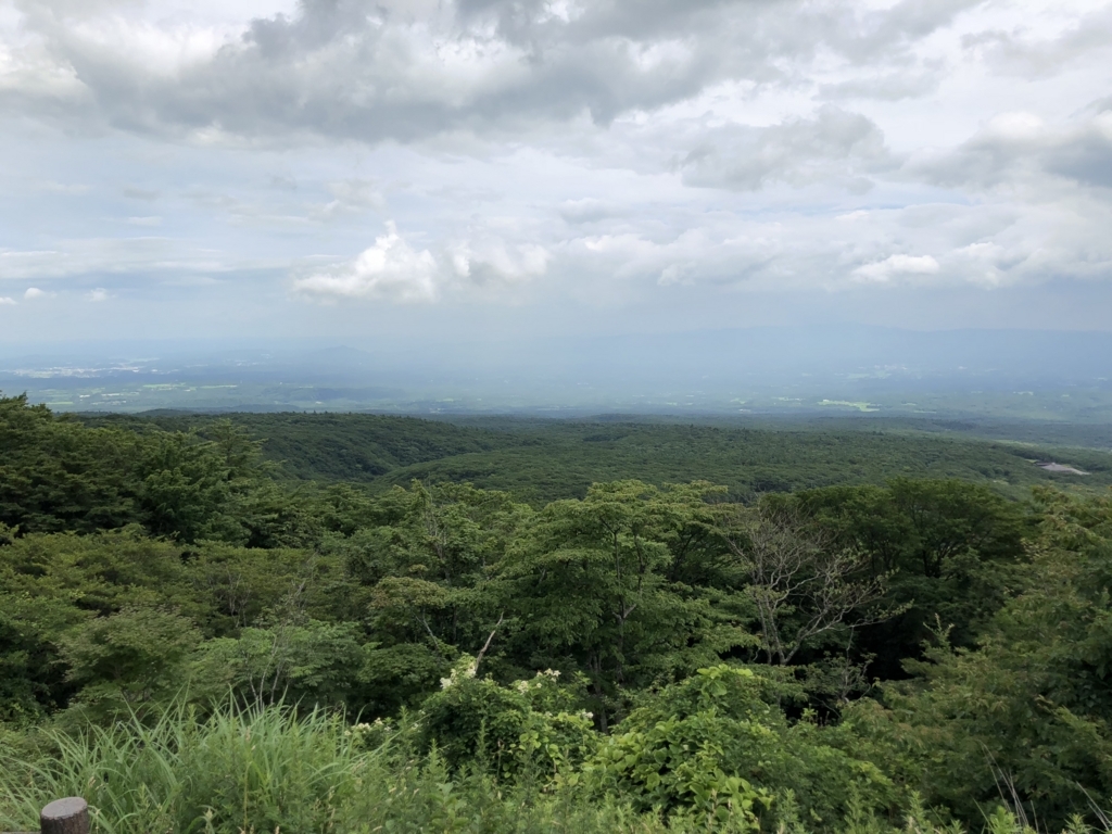 f:id:yutanty:20180714210413j:plain f:id:yutanty:20180714210413j:plain