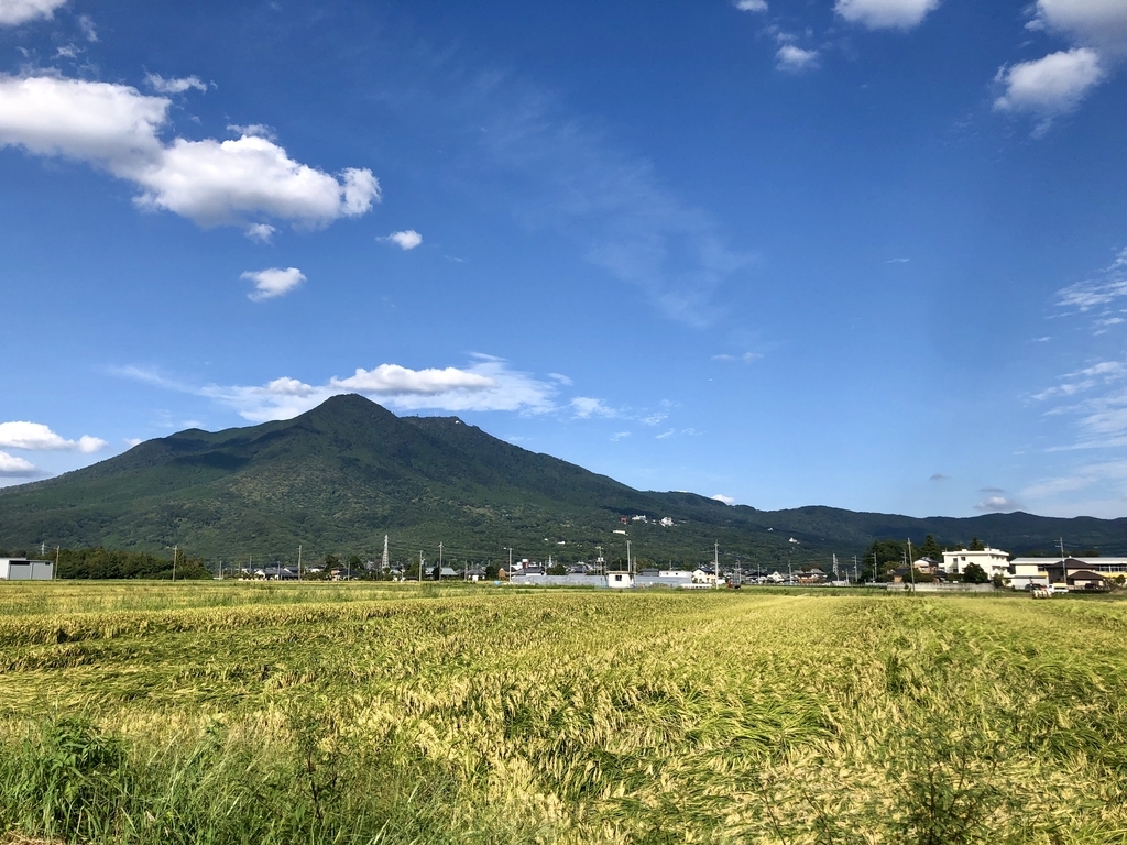 f:id:yutanty:20190920144954j:plain