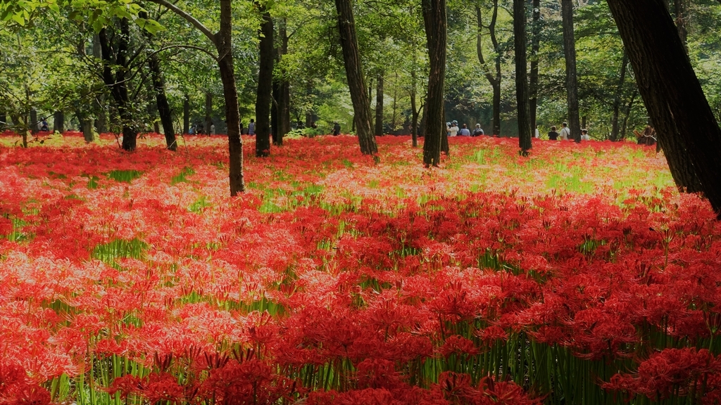 f:id:yutanty:20190930102940j:plain f:id:yutanty:20190930102940j:plain