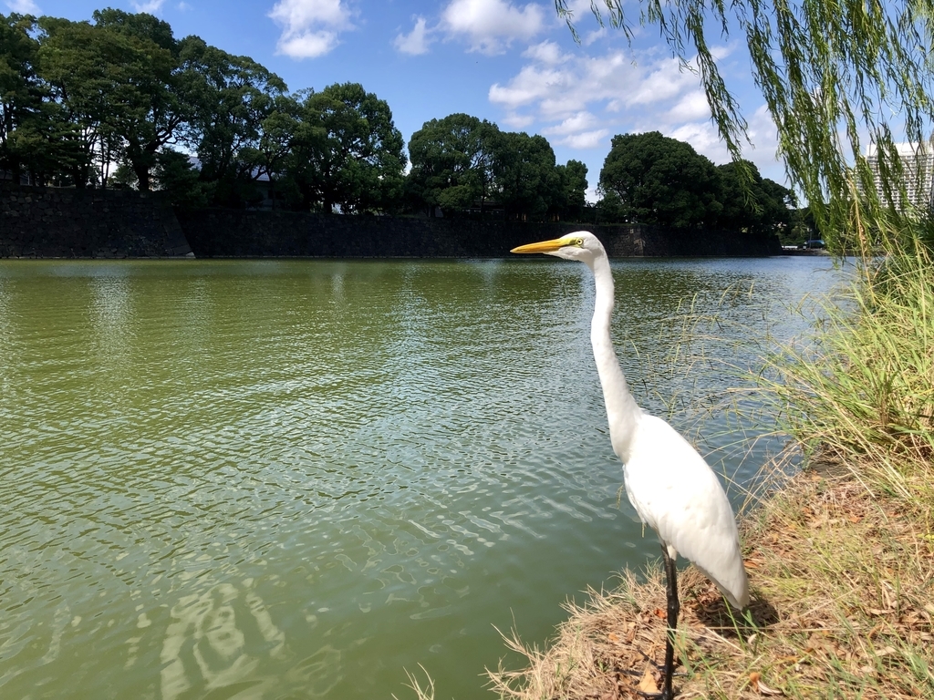 f:id:yutanty:20191004122752j:plain