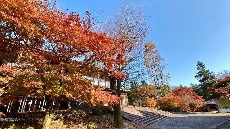 日光木彫りの里工芸センター 敷地内の紅葉