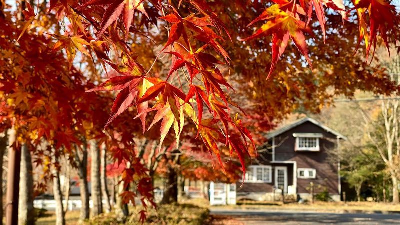 日光木彫りの里工芸センター 敷地内の紅葉