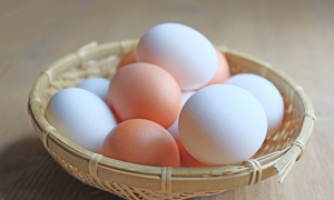 f:id:yutaox:20190324214107j:plain f:id:yutaox:20190324214107j:plain