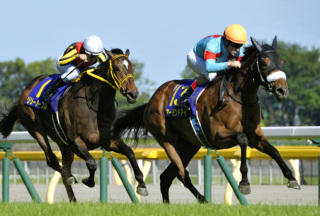f:id:yutaro2050016:20190519012313j:plain f:id:yutaro2050016:20190519012313j:plain